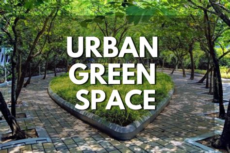 Exploring Corey Parks: A Comprehensive Guide to Urban Green Spaces