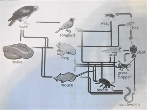 Exploring Creation Biology Module 3 Test Answers Doc