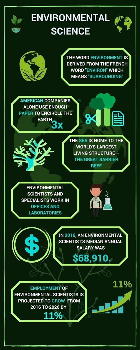 Exploring Entry-Level Environmental Science Jobs