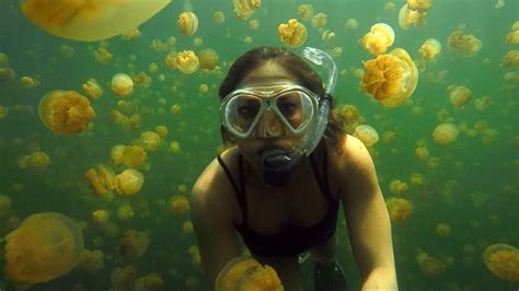 Exploring Jellyfish Lake