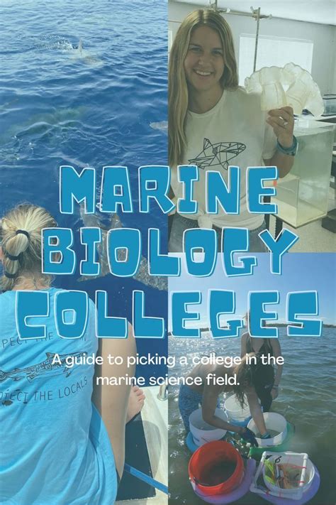 Exploring Marine Biology Major Colleges: A Comparative Guide