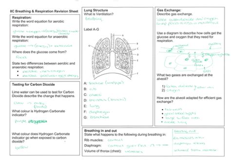 Exploring Science 8 Respiration Test Answers Kindle Editon