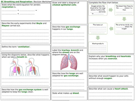 Exploring Science 8c Answers PDF