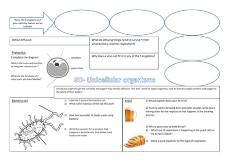 Exploring Science 8d Quick Quiz Answers Epub