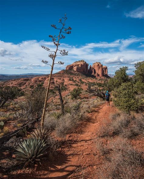 Exploring Sedona's Grocery Paradise