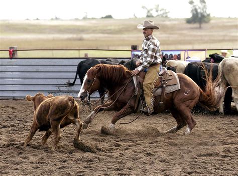 Exploring the Allure of Cutting Horses