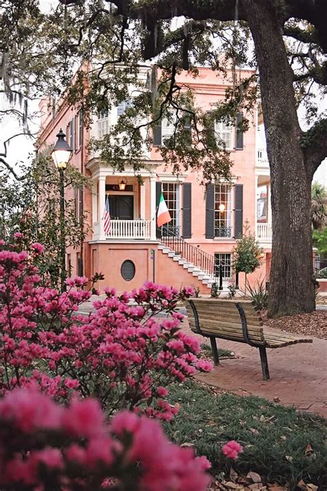 Exploring the Charm and Luxury of Savannah's Abercorn Street