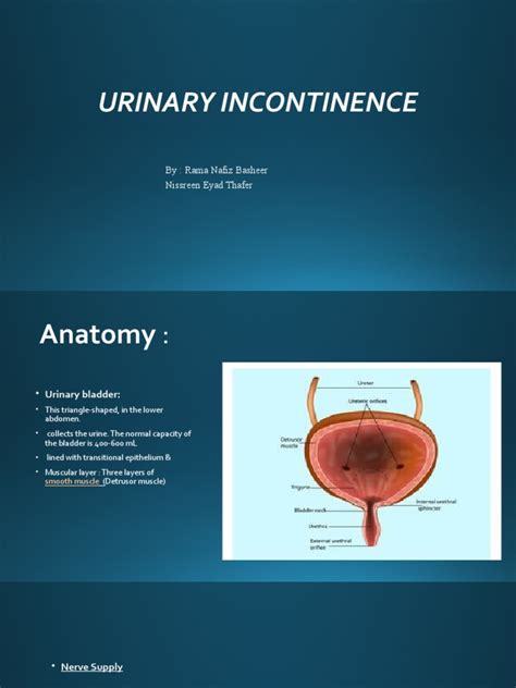 Exploring the Complexities of Urinary Incontinence and Its Treatment: A Comprehensive Guide