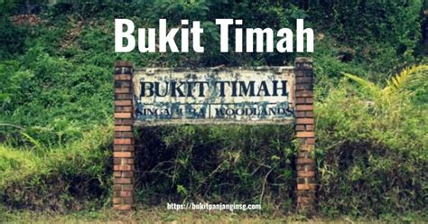 Exploring the Delights of Bukit Timah