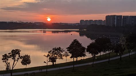 Exploring the Ecological Significance of Shenton Bedok Reservoir