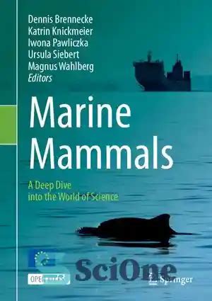 Exploring the Enchanting Realm of Marine Mammal Internships