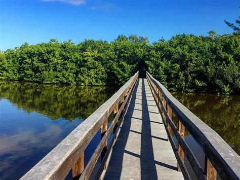 Exploring the Enchanting Shores of Fort Myers Beach: A Comprehensive Guide