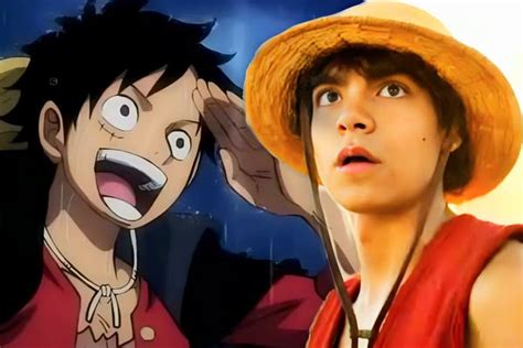 Exploring the Enigma of Luffy's Double Life