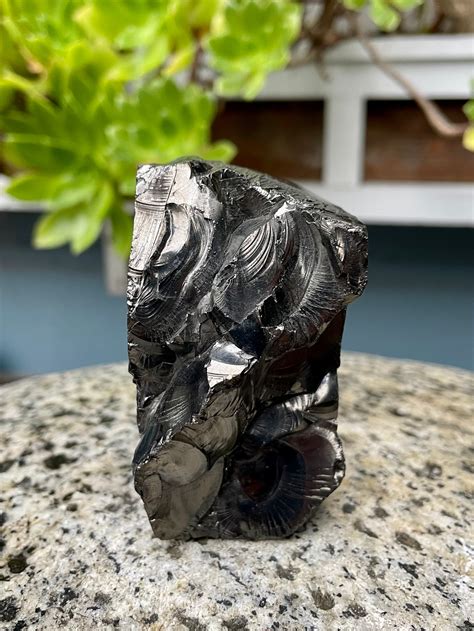 Exploring the Enigmatic Colombian Shungite