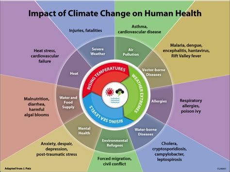 Exploring the Impact of Climate Change on Human Health: A Comprehensive Guide