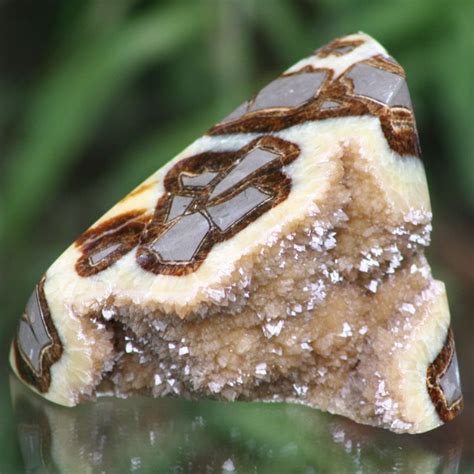 Exploring the Mystical and Therapeutic Attributes of Septarian Stone