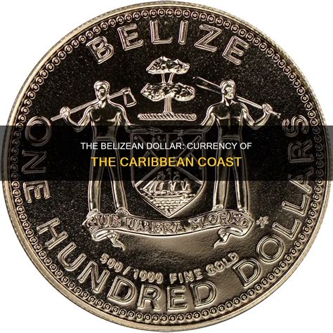 Exploring the Potential of Belize USD Through Creative Applications