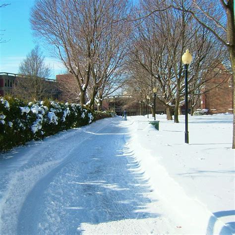 Exploring the Tuition Structure and Financial Aid Options