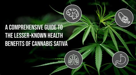 Exploring the Versatile Benefits of Cannabis Sativa: A Comprehensive Guide