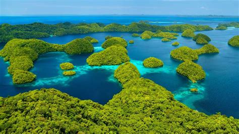 Exploring the Warm Embrace of Palau: A Haven of Friendly Hospitality