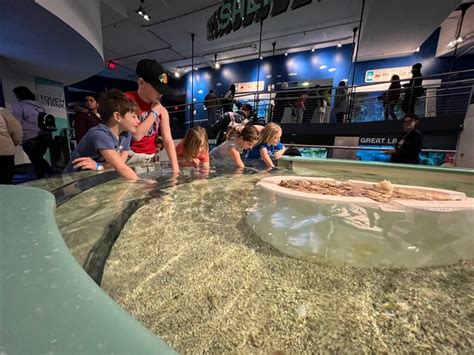 Exploring the Wonders of Discovery World: A Milwaukee Must-See