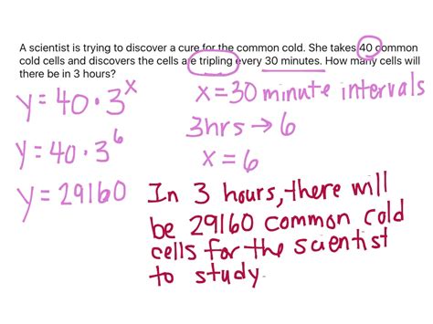 Exponential Function Problems With Solutions Doc