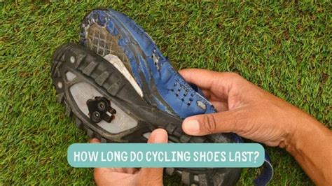 Extended Shoe Lifespan: