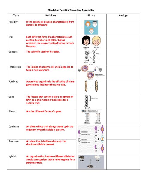 Extending Mendelian Genetics Vocabulary Practice Answers Key Kindle Editon