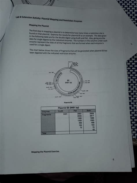 Extension Activity 1 Plasmid Mapping Answer Key Ebook Kindle Editon