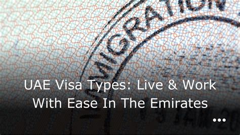 Extensive Visa Services