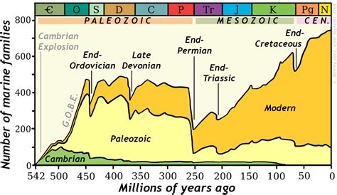 Extinction Events: