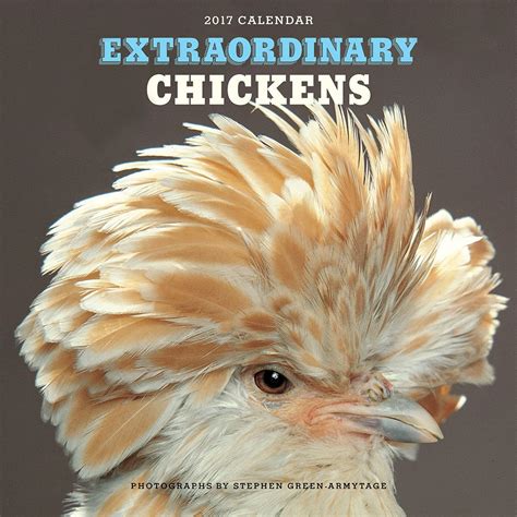 Extraordinary Chickens 2017 Wall Calendar Doc