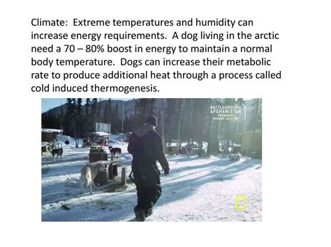 Extreme Energy Requirements: