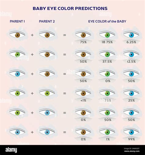 Eye Color Gene Chart