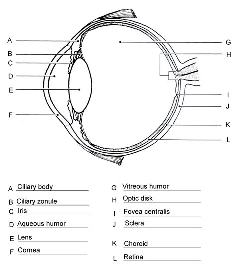 Eye Diagram Answers Reader