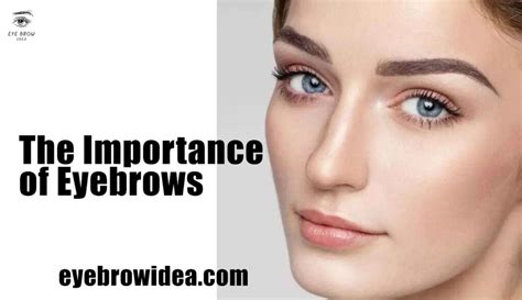 Eyebrow Importance: Beyond Aesthetics