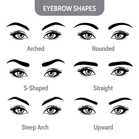 Eyebrow Shapes for Women: 2023 Ultimate Guide