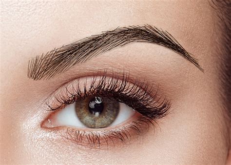 Eyebrow Wigs Human Hair: The Ultimate Guide to Luscious Brows