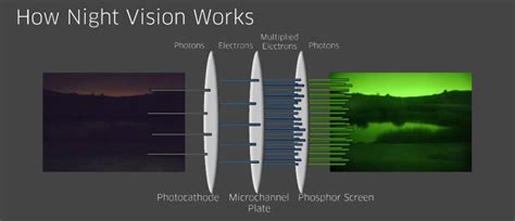 Eyes in the Night 101: The Complete Guide to Night Vision Enhancement