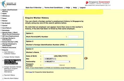 FDW Employment History in 10000+ Words