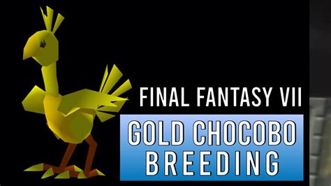 FF7 Gold Chocobo: The Ultimate Guide to Getting Your Hands on the Golden Bird