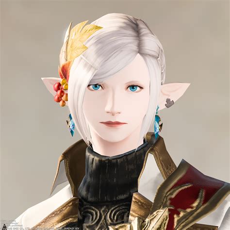 FFXIV Character Lookup: Discover the World of Eorzea's Heroes