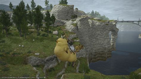 FFXIV Parade Chocobo: A Majestic Display of Customization and Camaraderie