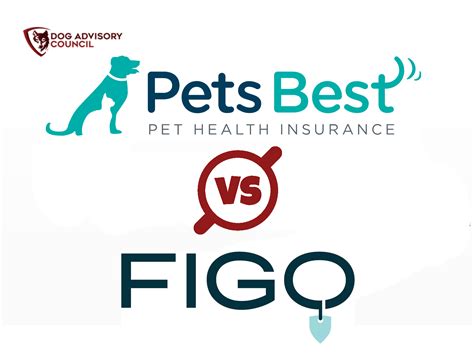 FIGO Pet Insurance: 5 Unbeatable Benefits You Need to Know