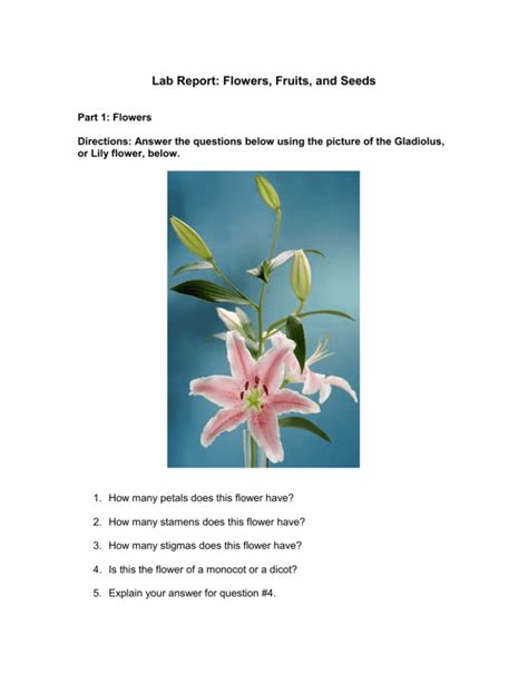 FLOWERS FRUITS AND SEEDS LAB REPORT ANSWERS Ebook PDF
