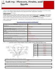 FLOWERS FRUITS AND SEEDS LAB REPORT ANSWERS Ebook PDF