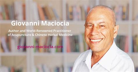 FOUNDATIONS OF CHINESE MEDICINEGIOVANNI MACIOCIA PDF BOOK Reader