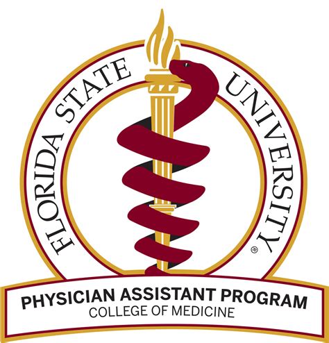 FSU PA Program: A Path to Success in Physician Assisting