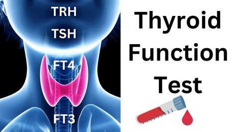 FT3 + A-M3: The Dynamic Duo for Thyroid Health