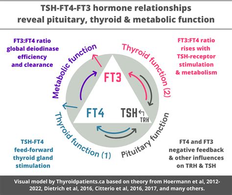 FT3 Production: